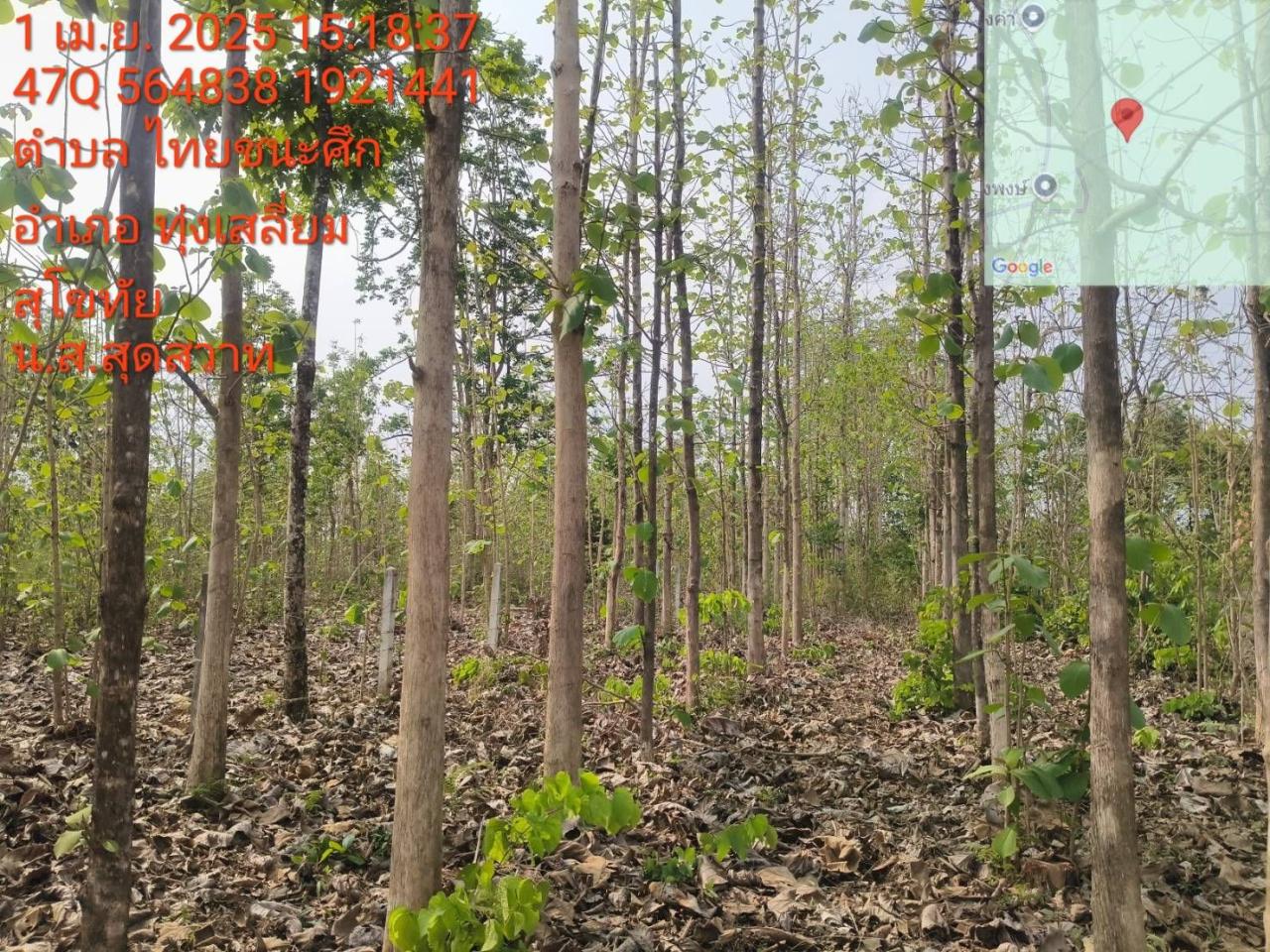 ภาพประกอบที่ 12