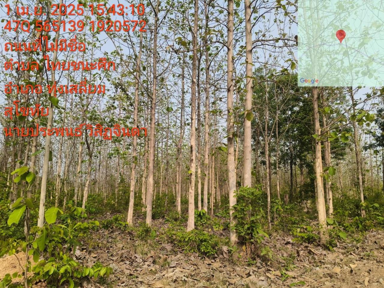 ภาพประกอบที่ 15