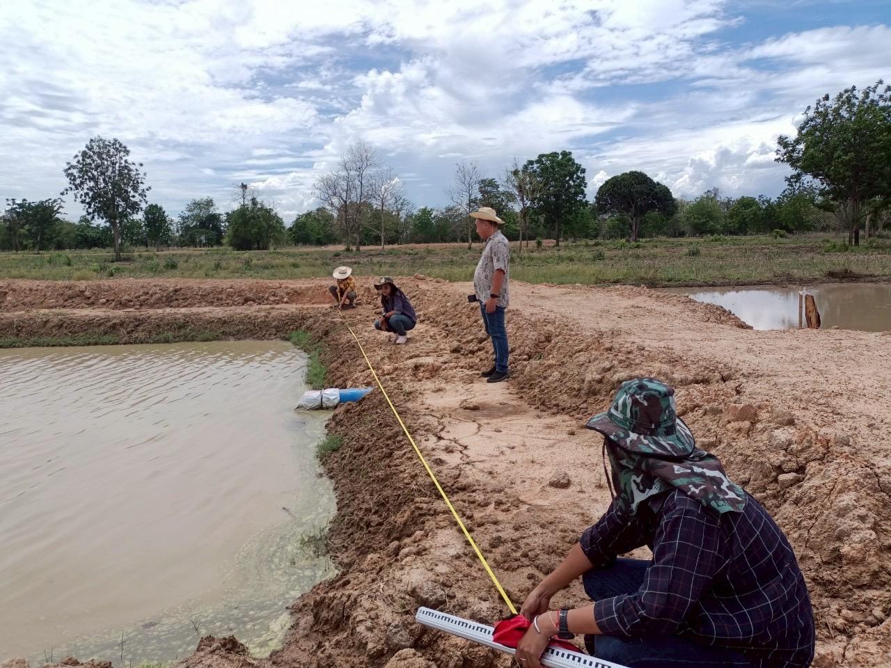 ภาพประกอบที่ 1