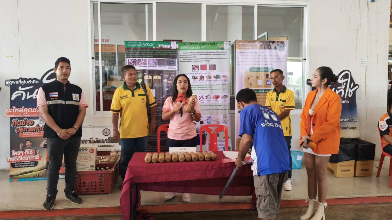 ภาพประกอบที่ 1