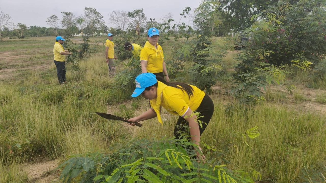 ภาพประกอบที่ 5