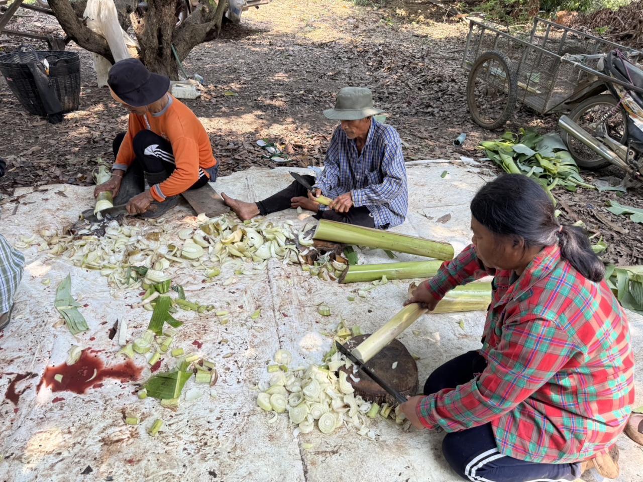 ภาพประกอบที่ 4