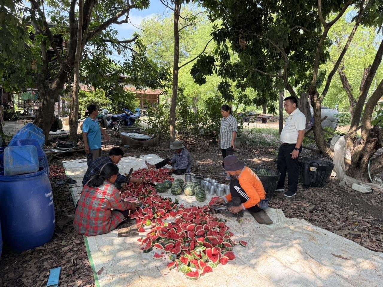 ภาพประกอบที่ 5