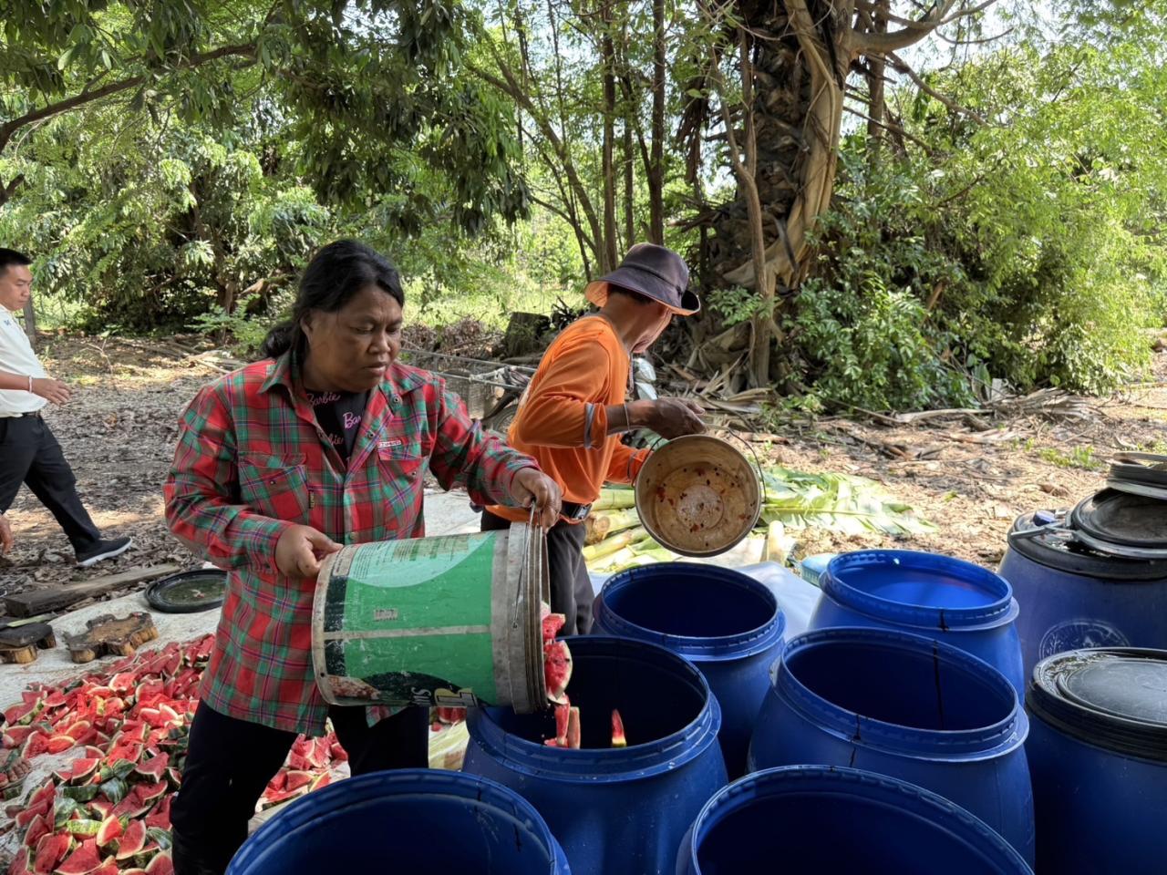 ภาพประกอบที่ 6