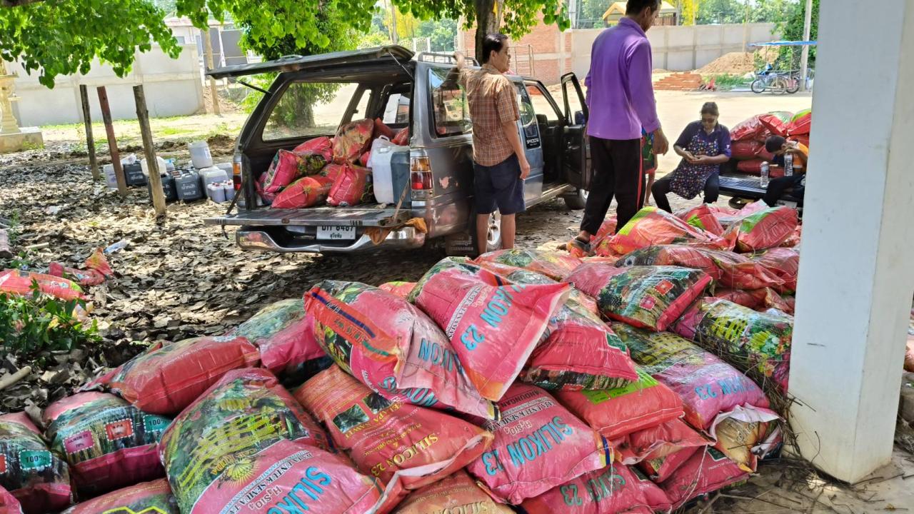 ภาพประกอบที่ 11