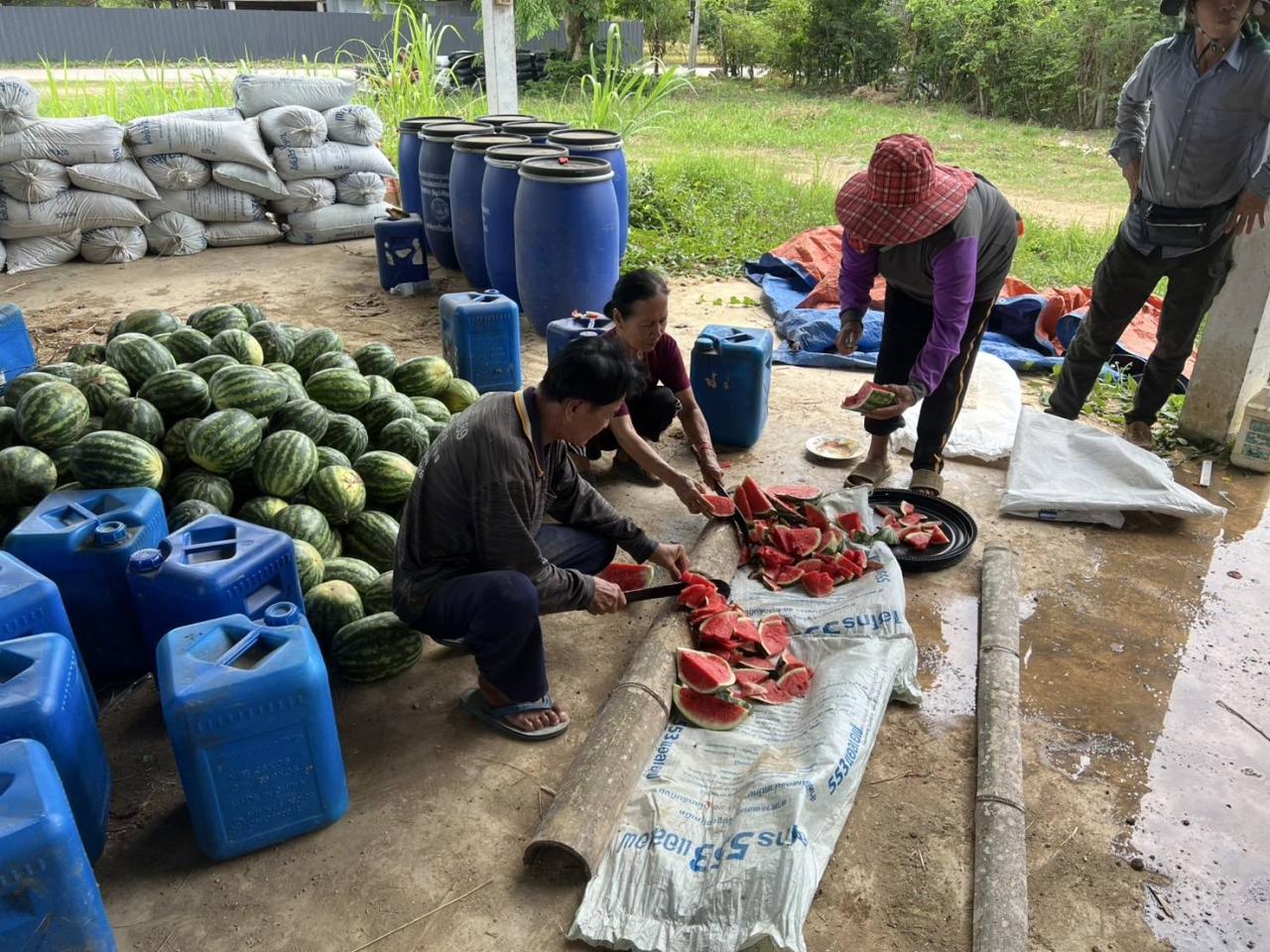 ภาพประกอบที่ 1