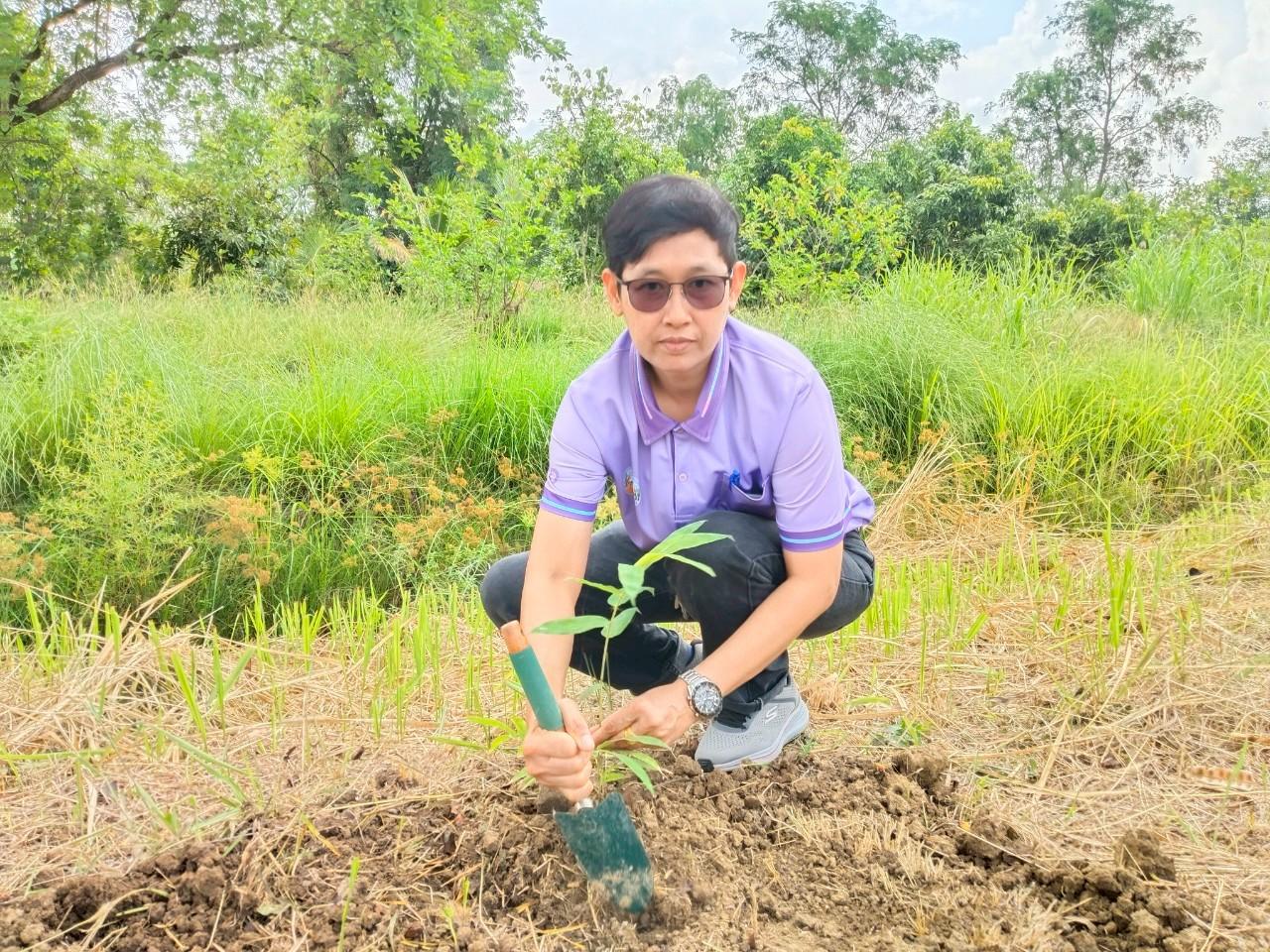 ภาพประกอบที่ 1