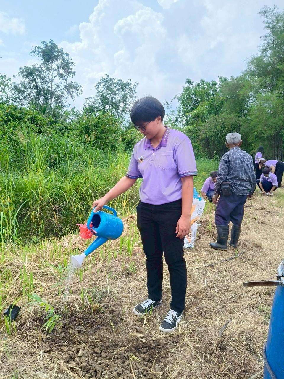 ภาพประกอบที่ 3