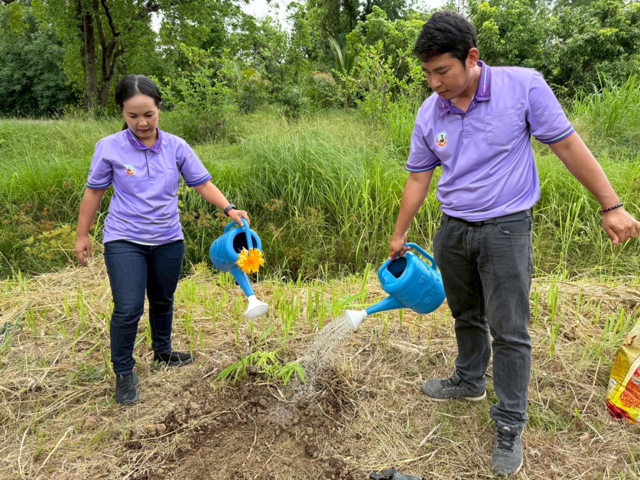 ภาพประกอบที่ 12