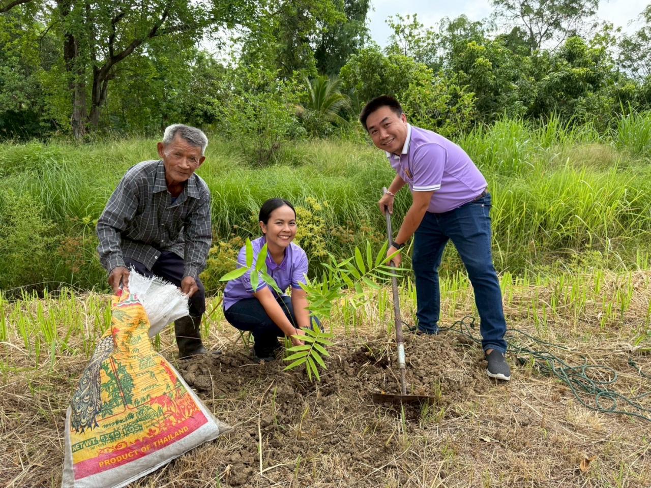 ภาพประกอบที่ 14