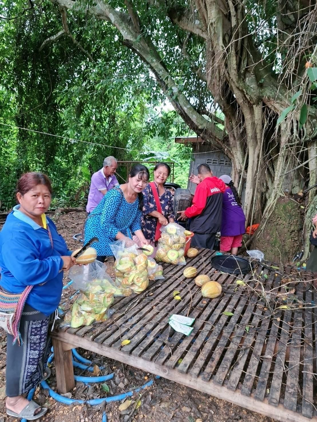 ภาพประกอบที่ 2