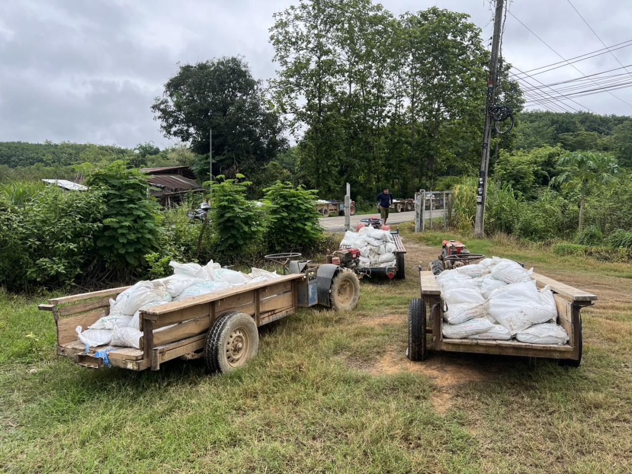 ภาพประกอบที่ 0