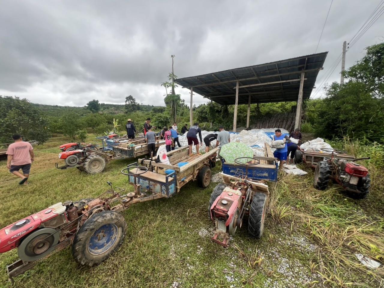 ภาพประกอบที่ 5