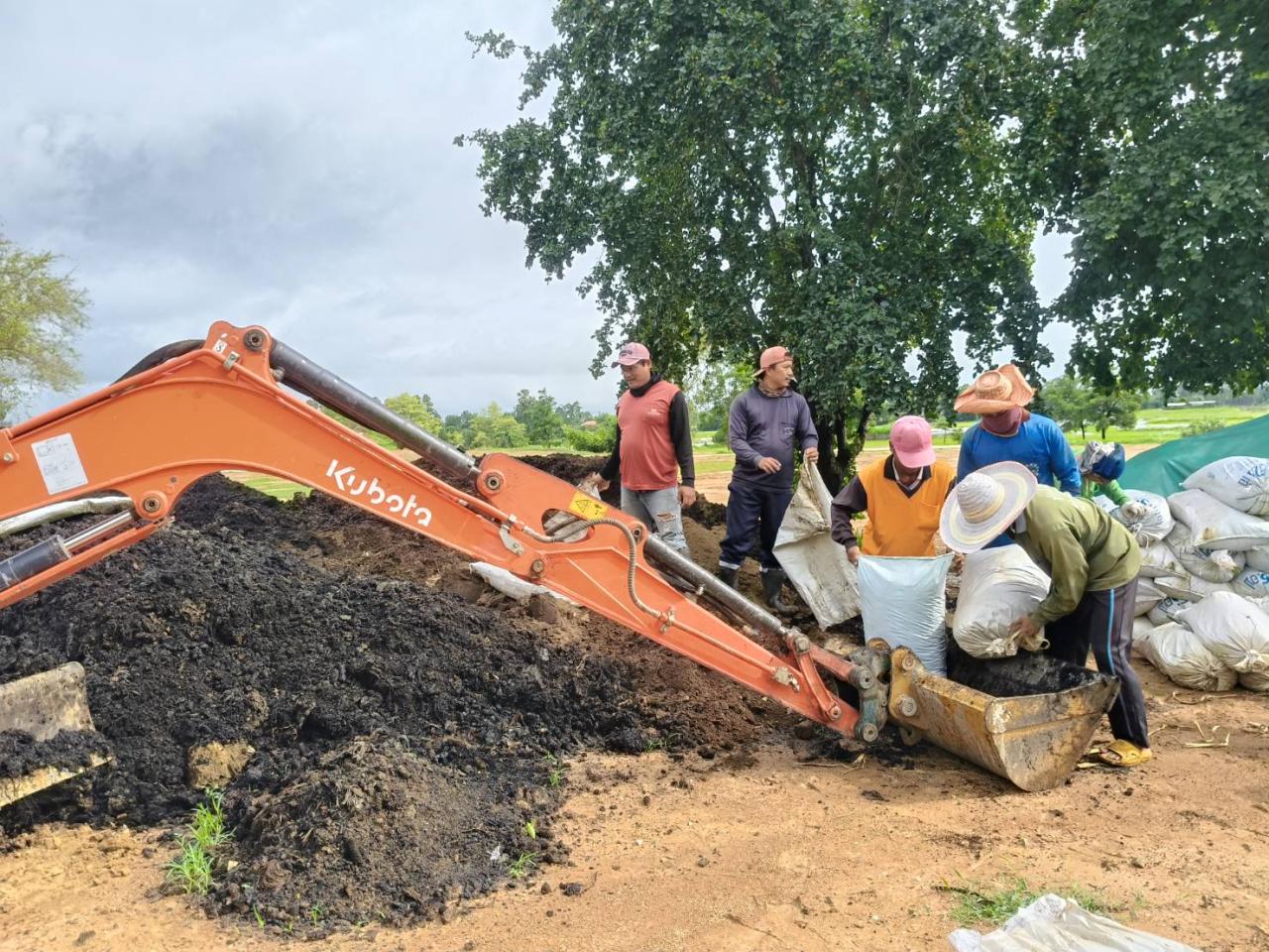 ภาพประกอบที่ 0