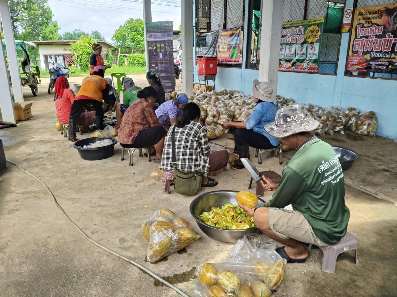 ภาพประกอบที่ 5