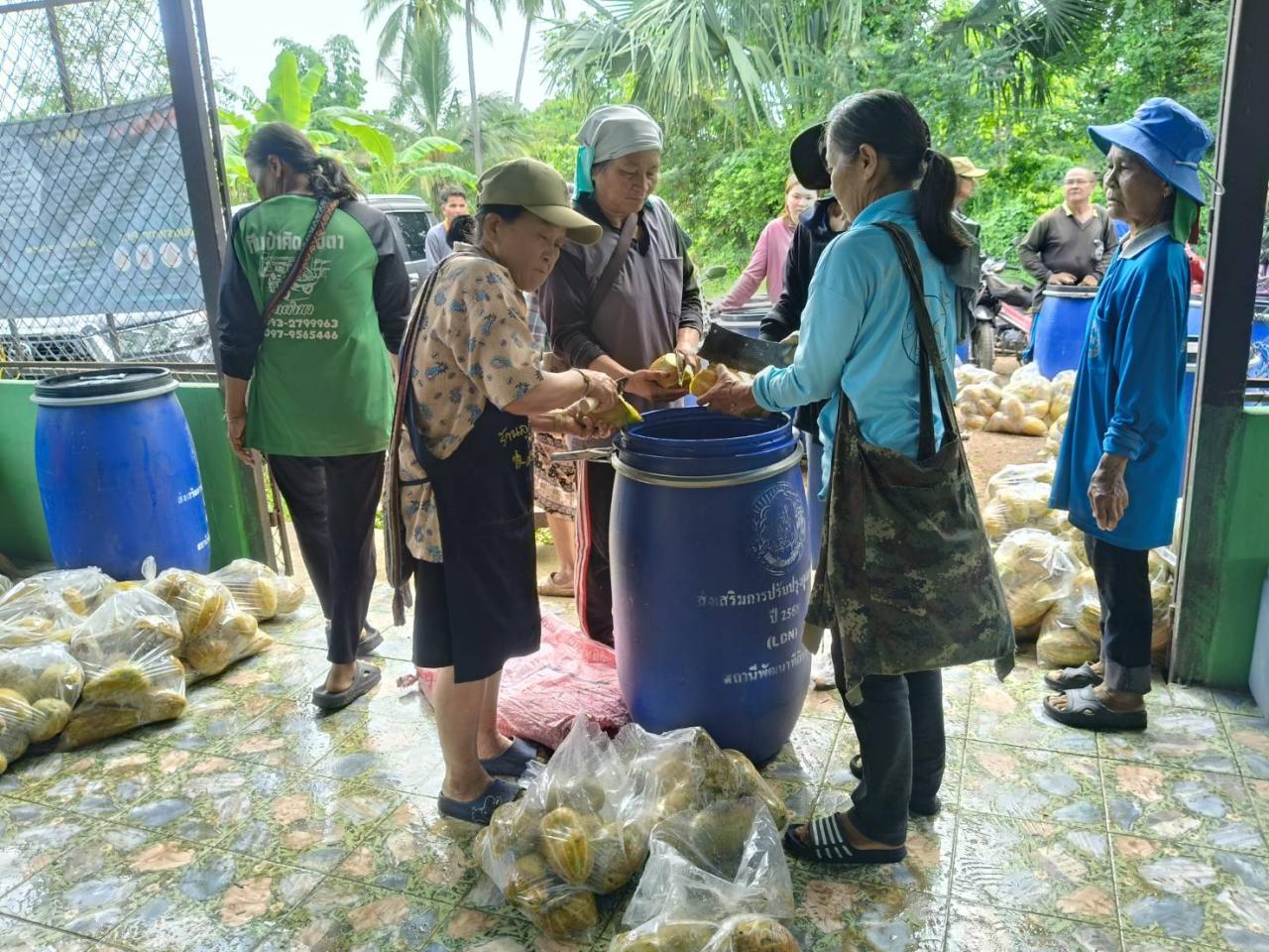 ภาพประกอบที่ 4