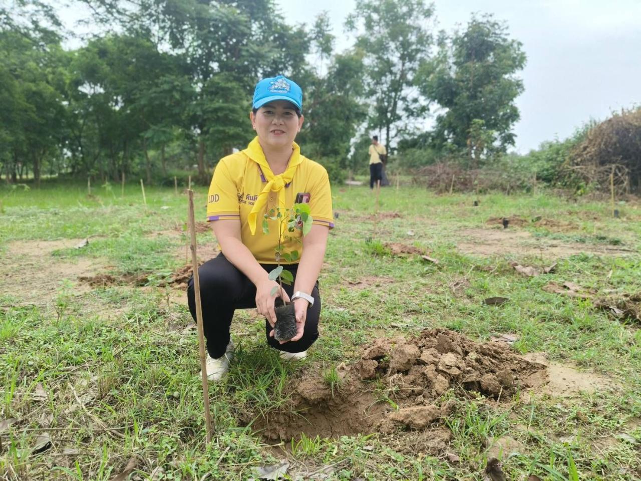 ภาพประกอบที่ 3