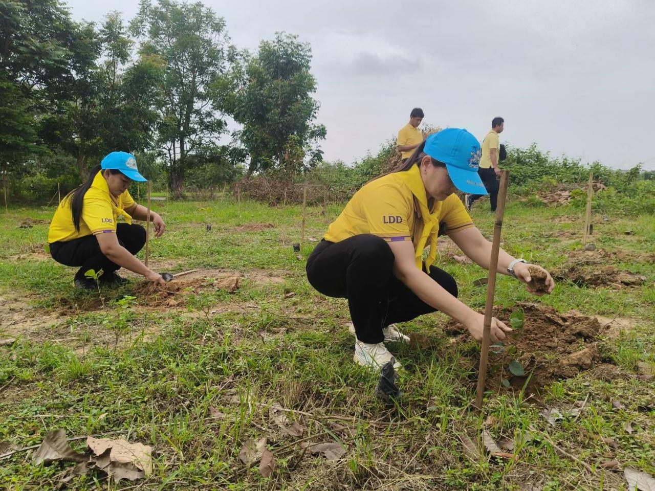 ภาพประกอบที่ 6