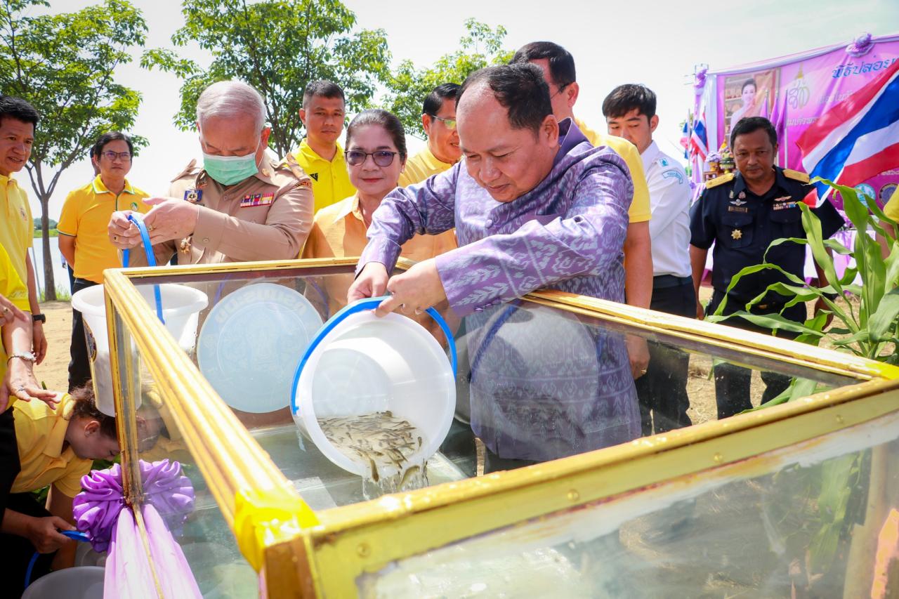 ภาพประกอบที่ 7