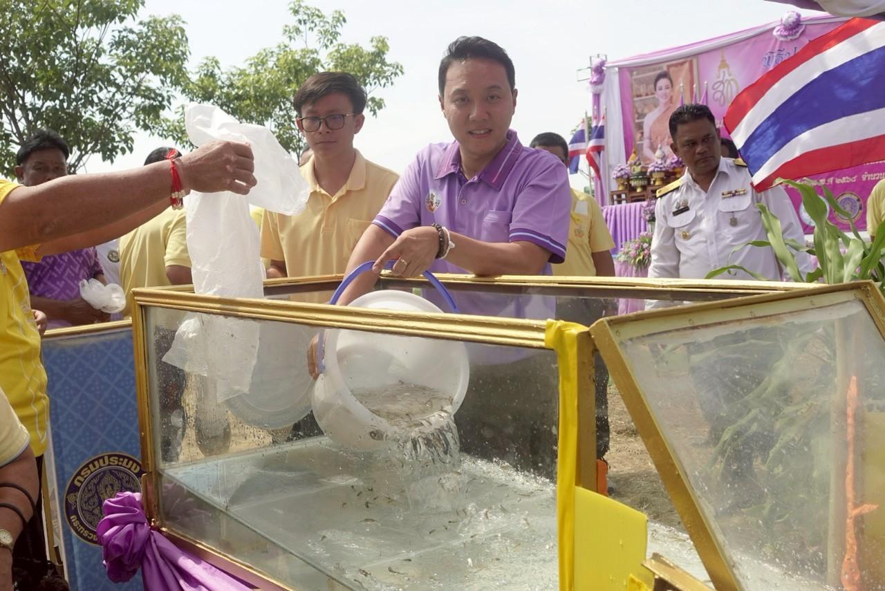 ภาพประกอบที่ 8