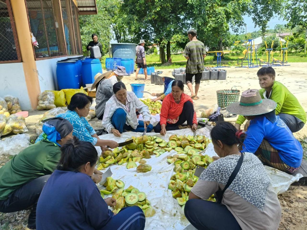 ภาพประกอบที่ 0