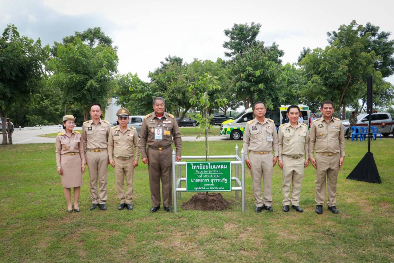ภาพประกอบที่ 10