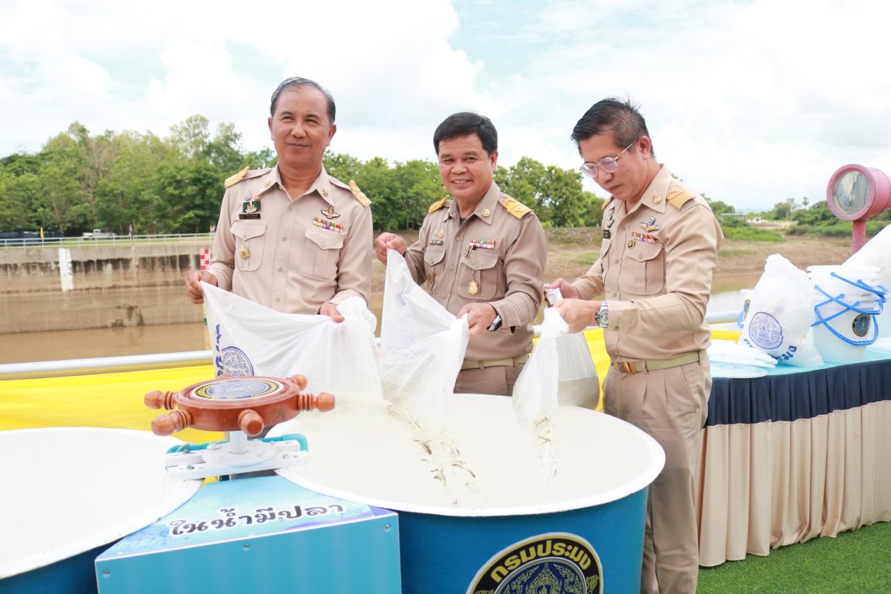 ภาพประกอบที่ 14