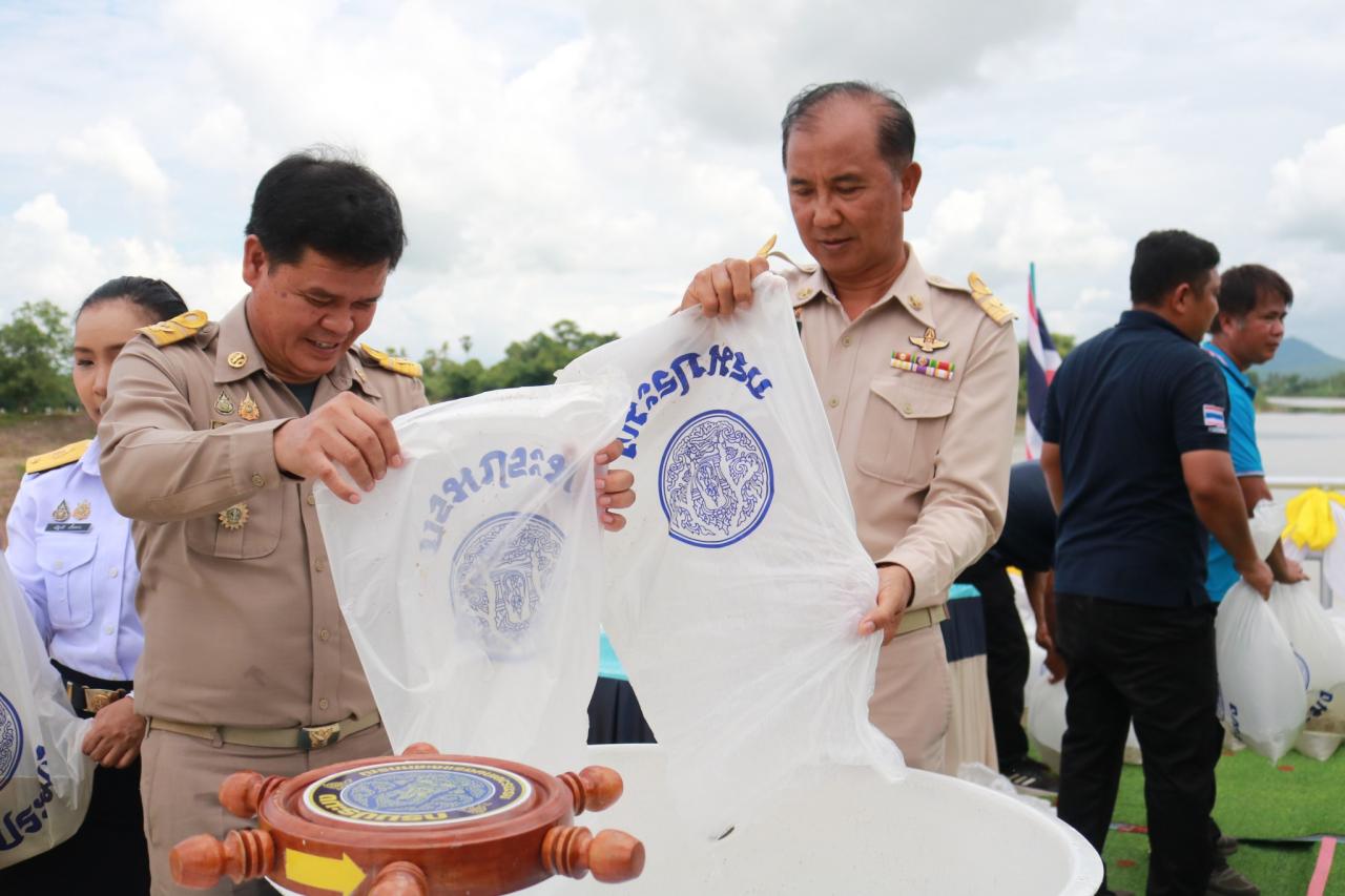 ภาพประกอบที่ 15