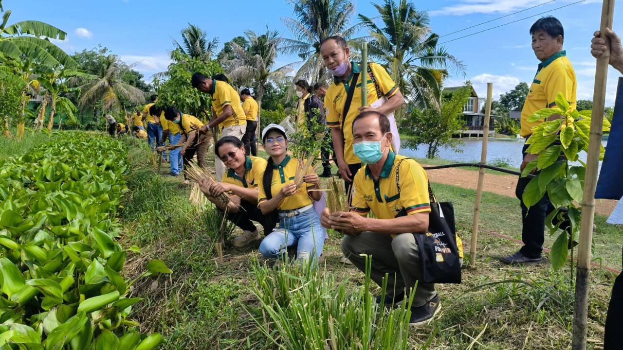 ภาพประกอบที่ 11