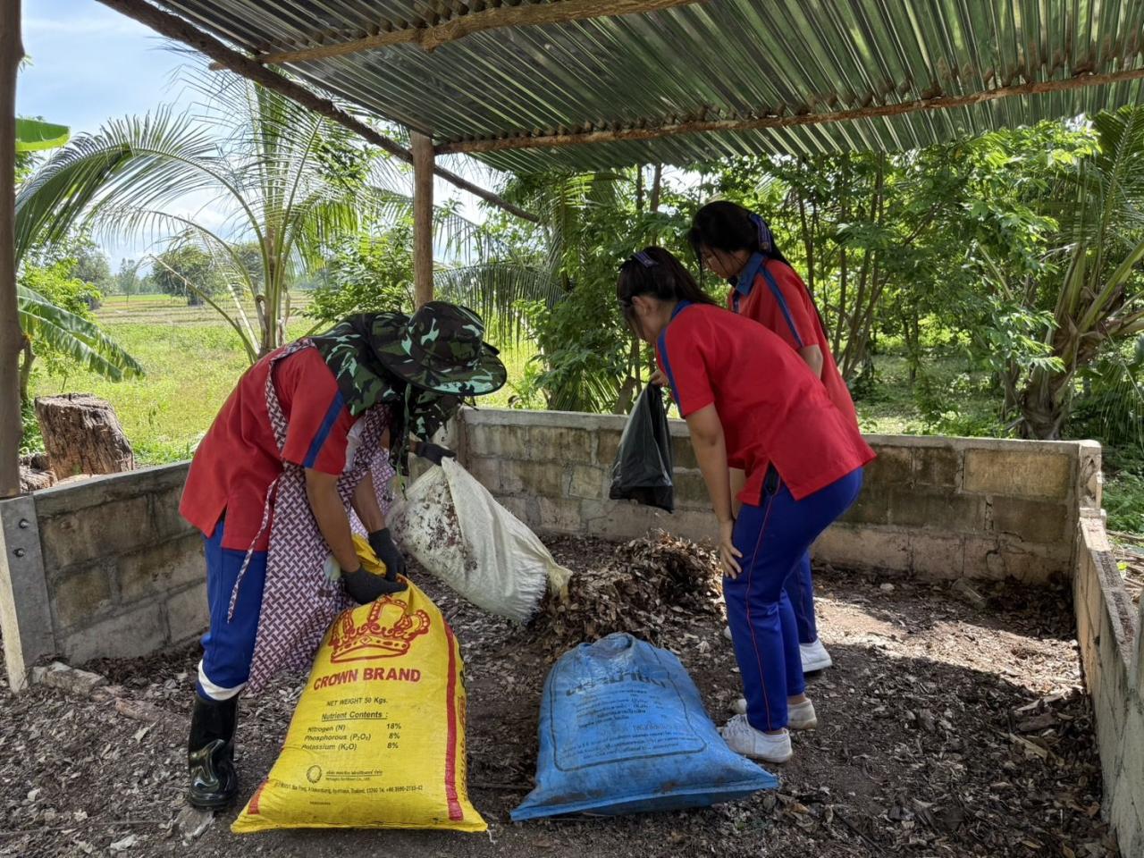 ภาพประกอบที่ 5