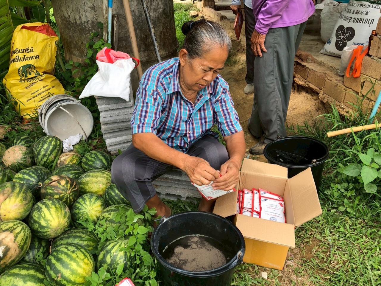 ภาพประกอบที่ 17
