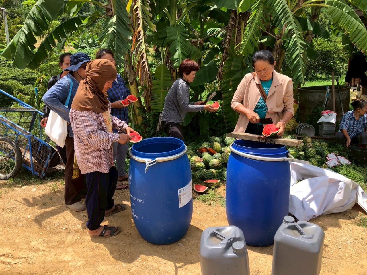 ภาพประกอบที่ 19