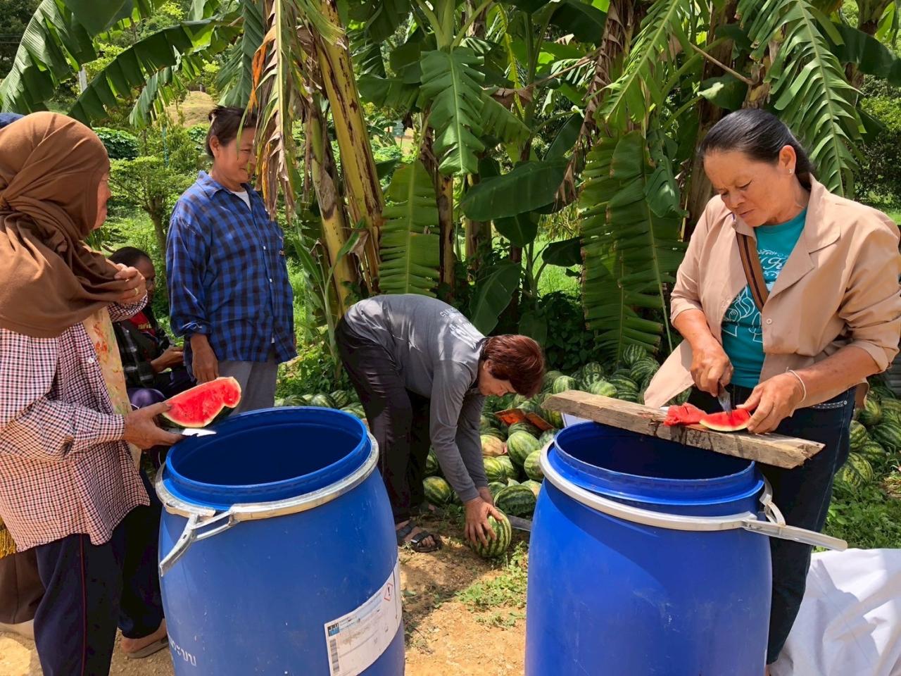 ภาพประกอบที่ 44