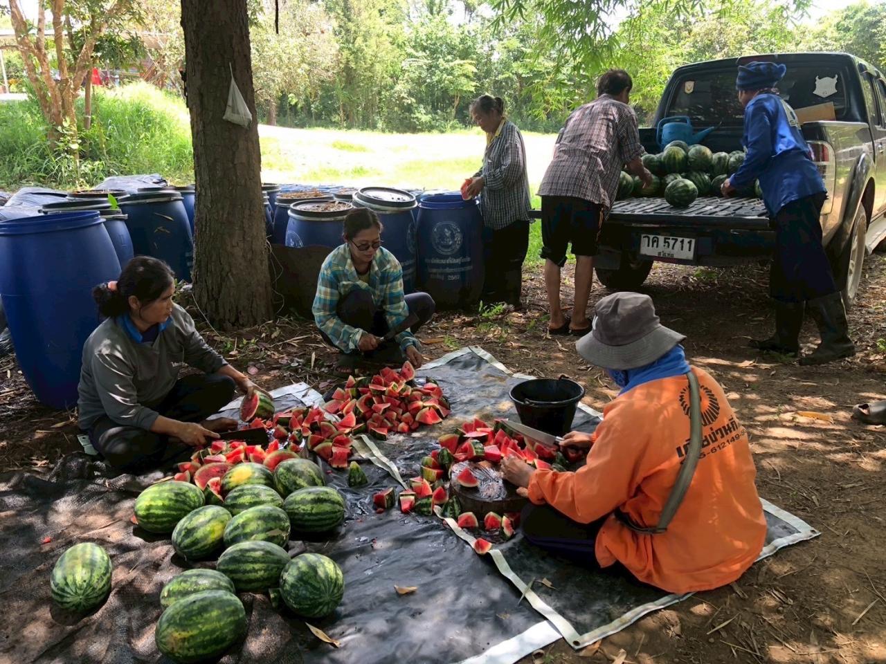 ภาพประกอบที่ 2