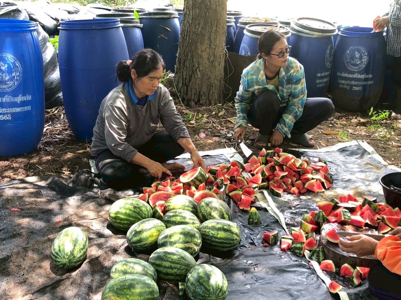 ภาพประกอบที่ 3