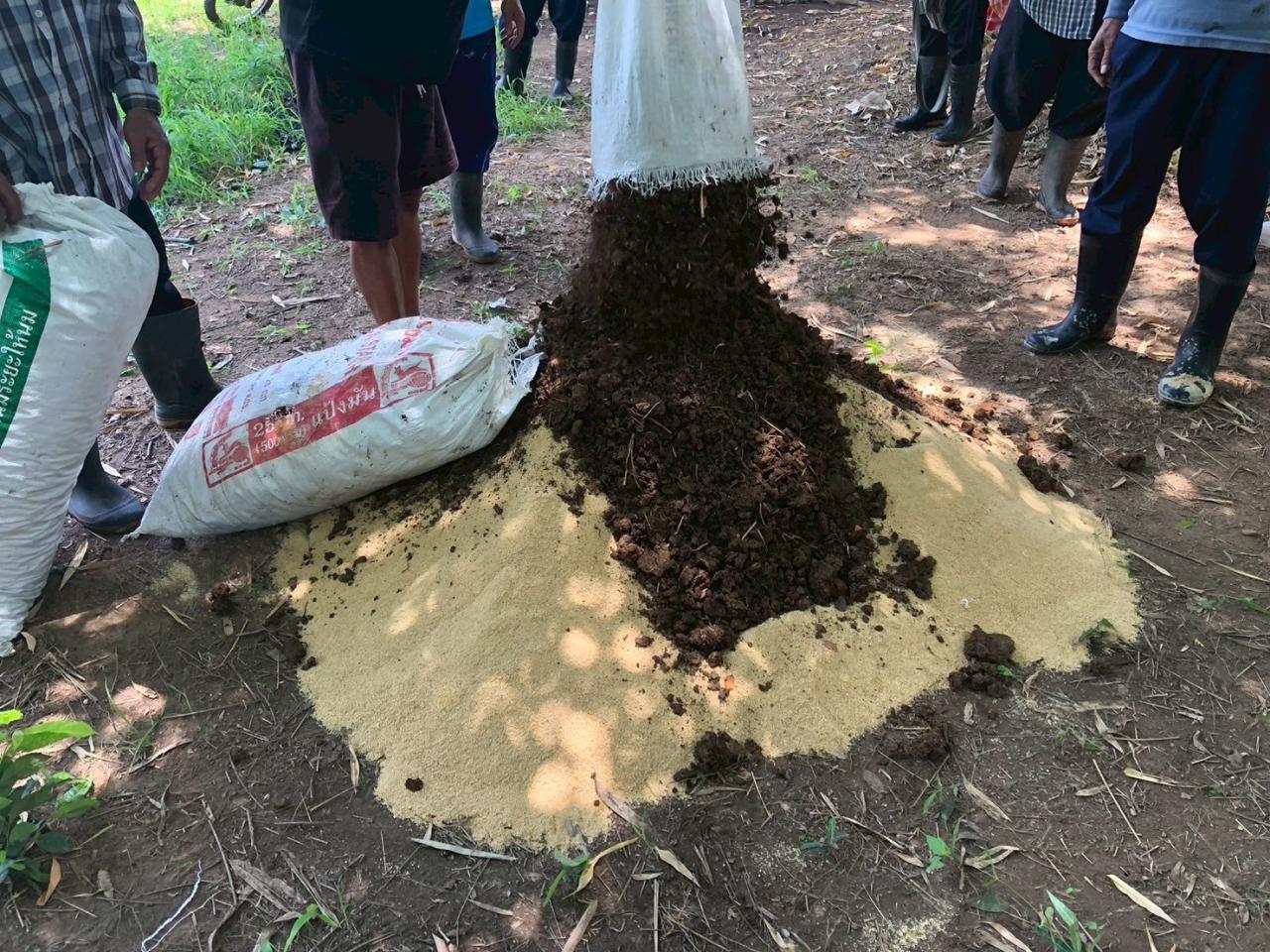 ภาพประกอบที่ 6