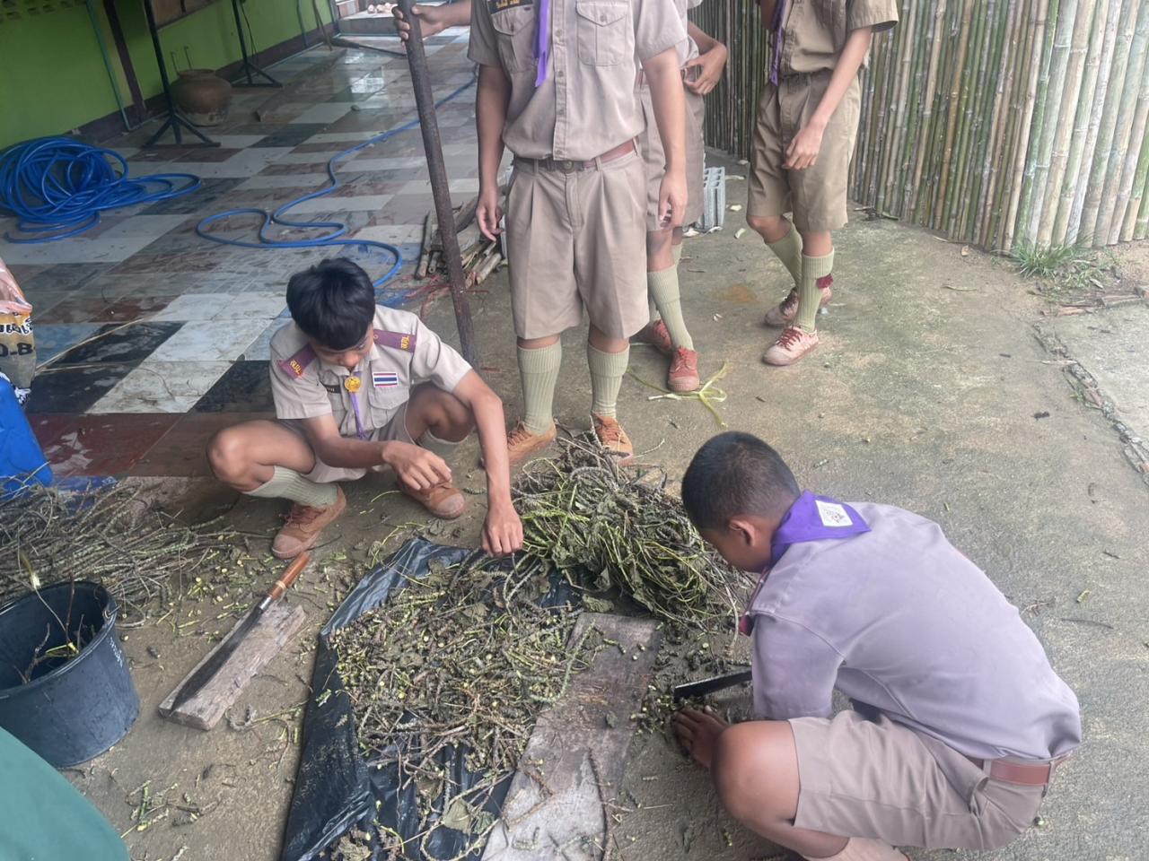 ภาพประกอบที่ 0