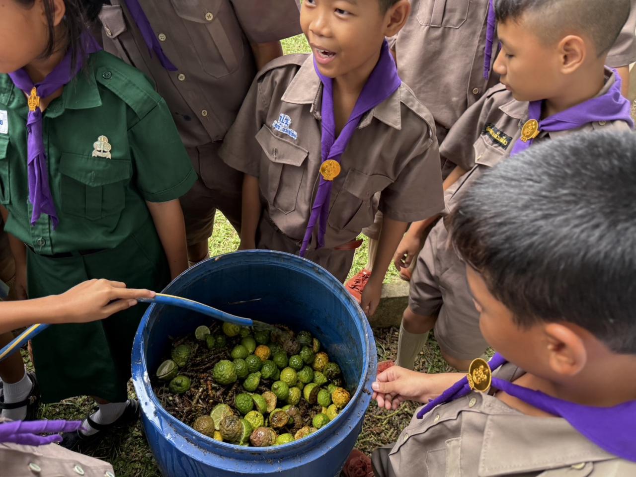 ภาพประกอบที่ 5