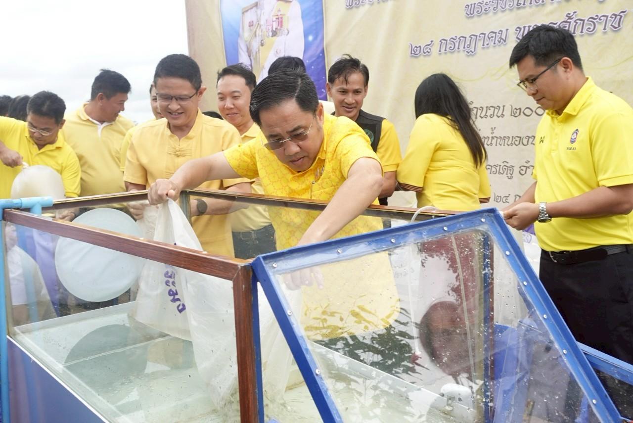 ภาพประกอบที่ 7