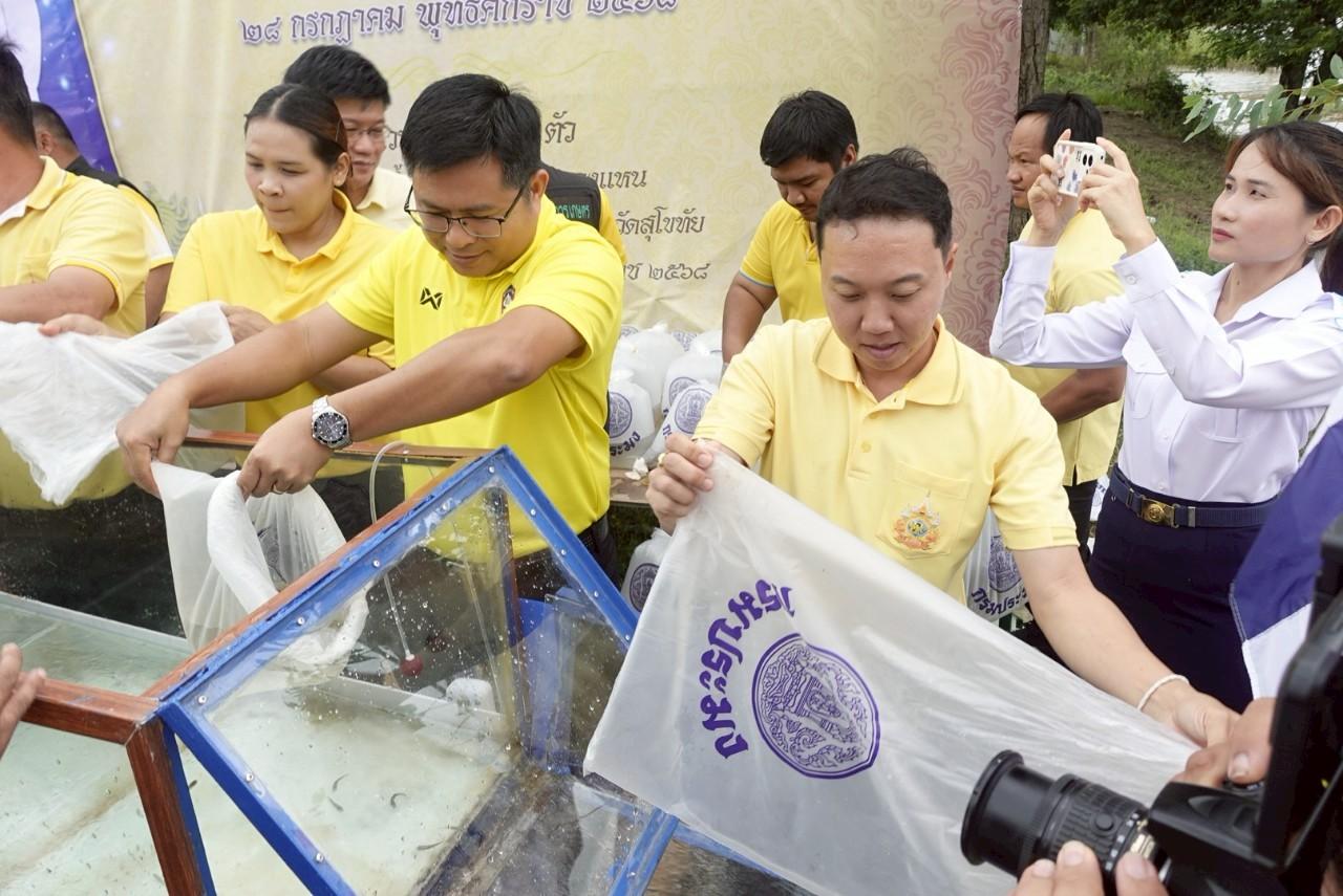 ภาพประกอบที่ 8