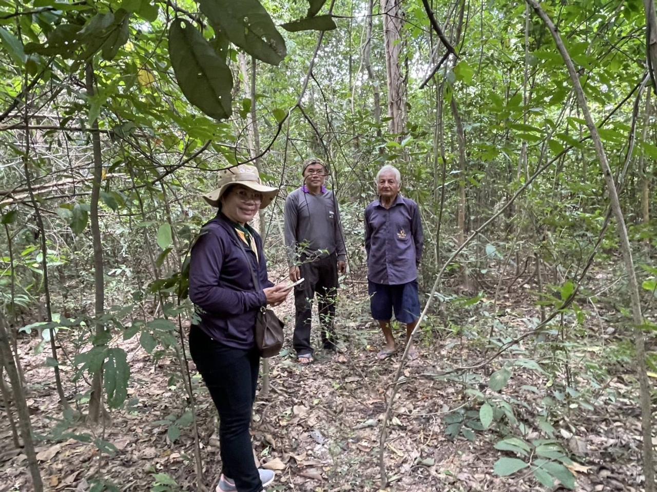 ภาพประกอบที่ 0