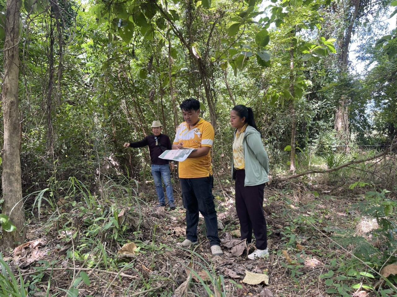 ภาพประกอบที่ 3