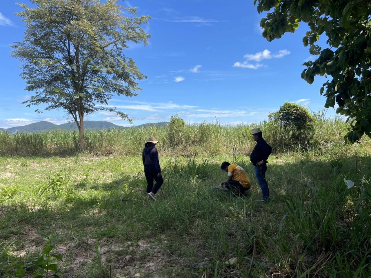 ภาพประกอบที่ 4