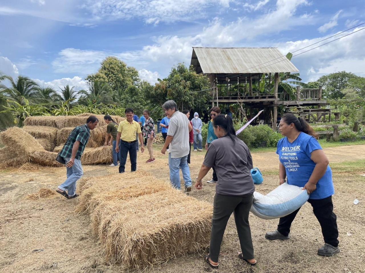 ภาพประกอบที่ 2