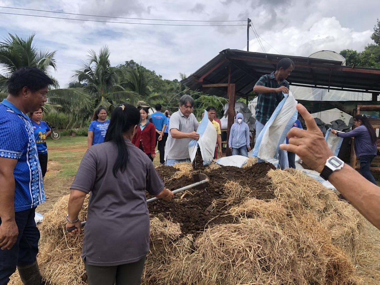 ภาพประกอบที่ 5