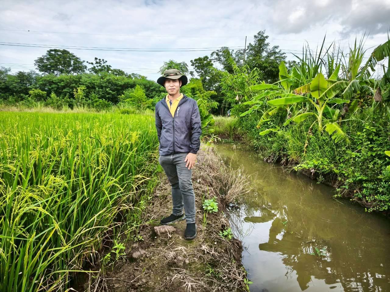 ภาพประกอบที่ 1