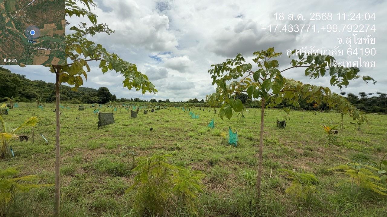 ภาพประกอบที่ 9