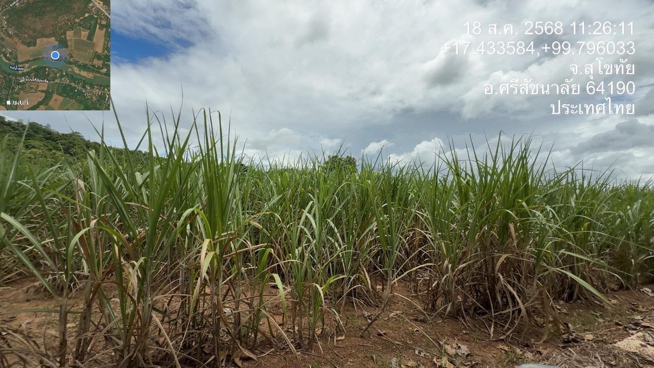 ภาพประกอบที่ 11