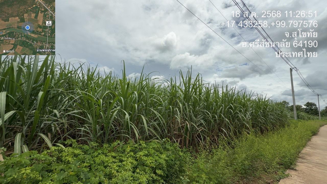 ภาพประกอบที่ 12