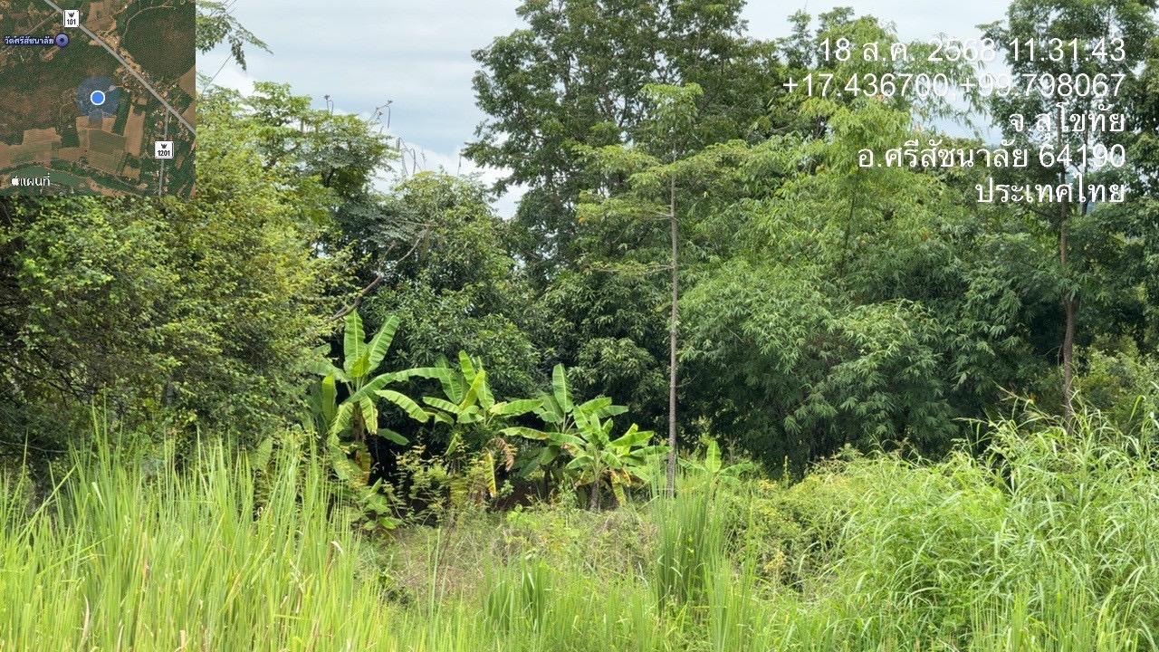 ภาพประกอบที่ 13